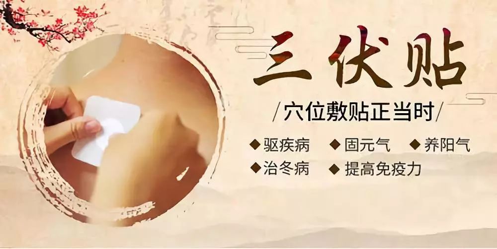 關于三伏貼，你了解多少呢？