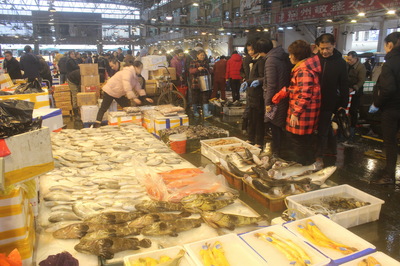 名成集鮮綜合水產品交易區(qū)首屆年貨節(jié) 水產品盛宴開啟