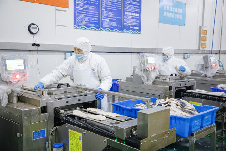 開辟綠色生命通道，海安中洋集團200噸水產食品馳援上海保供穩鏈