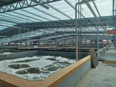 缺蝦百萬(wàn)噸，產(chǎn)業(yè)迎變革 工廠化養(yǎng)蝦面積將破千萬(wàn)平米，第二屆中國(guó)工廠化養(yǎng)蝦大會(huì)8月啟幕