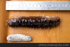 探秘滋補(bǔ)珍品 特級日本沖子參的營養(yǎng)價值與選購指南